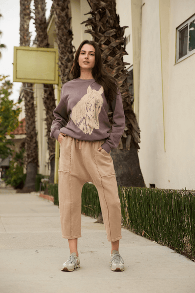 Stallion Sweatshirt - Image 3